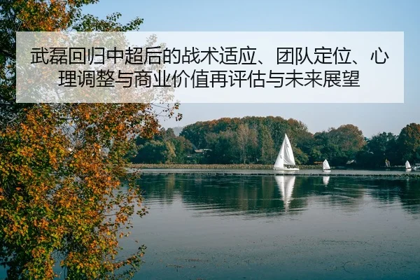 武磊回归中超后的战术适应、团队定位、心理调整与商业价值再评估与未来展望 - leyu
